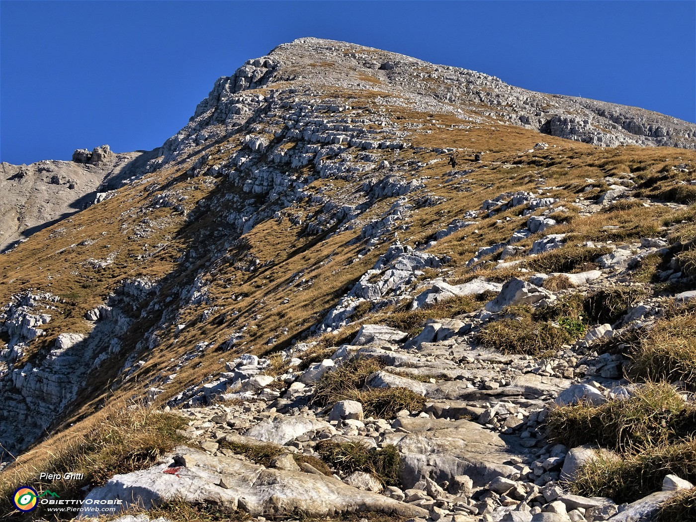 24 In decisa salita sul costone sud roccioso-erboso .JPG